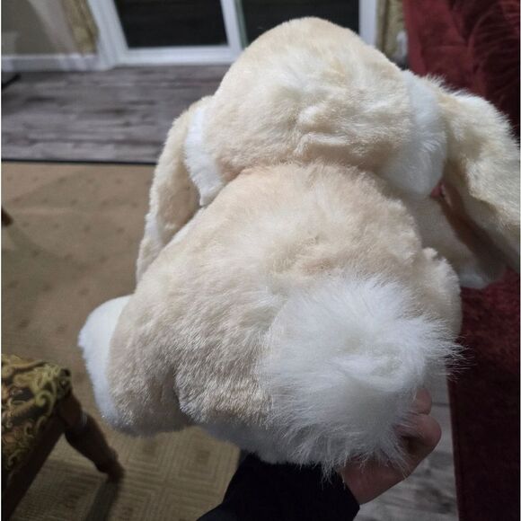 Dandee International - Picture 3 of 9